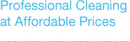 Professional Cleaning At Affordable Prices
